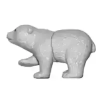 Ours polaire