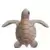 Tortue