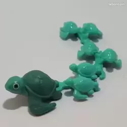 Tortues