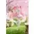 Taito - Vocaloid - Sakura Miku Japanese Cafe Ver.