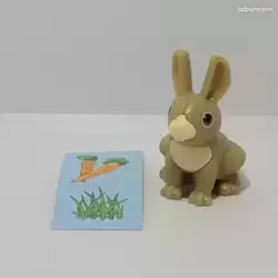 Lapin
