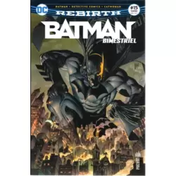 Tome 15