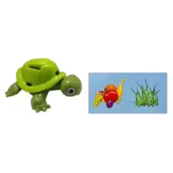 Tortue