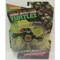 Super Shredder - Super Ninja Raph