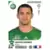 Foot 2012-13 - Mathieu Bodmer - AS Saint-Etienne