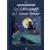 Les Schtroumpfs et l'amour sorcier