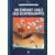 Les Schtroumpfs - Collection Hachette - Un enfant chez les Schtroumpfs