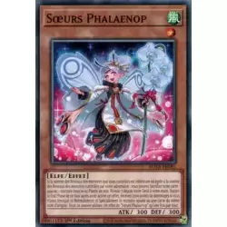 Sœurs Phalaenop