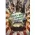 Rock A Billy Zombie Superstar - Tome 2