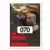 2002-03 Fleer Flair US - Jamaal Magloire