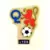 Foot 91 en Images - Ecusson - Lyon