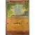 Etincelles Déferlantes - SSPFR - Phanpy Reverse