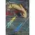Surging Sparks SSPEN - Milotic EX