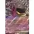 Cartes Pokemon Jumbo XXL - Ecarlate et Violet - Branette EX - Jumbo