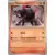 Tauros de Paldea