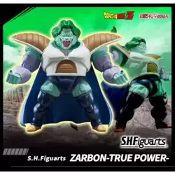 Zarbon - True Power