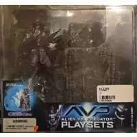 Predator