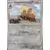 Triopikeur d'Alola Reverse