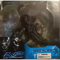 Grid Alien