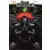 Sins of Sinister - Volume 2/2