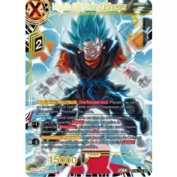 Vegetto SSB, Union d'Etincelles