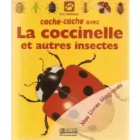 Cache-cache avec la coccinelle et autres insectes