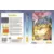 Tectoy - Jeux Master System Brésil - Aladdin