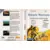Tectoy - Brazilian Master System Games - Miracle Warriors