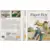 Tectoy - Brazilian Master System Games - Paperboy