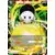 Chiaotzu, Confiance fraternelle