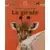 Cache-cache avec la Girafe