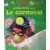 Mes Livres Magiques - Edition Atlas - Cache-cache avec le Carnaval