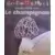 Cache-cache avec le Champignon