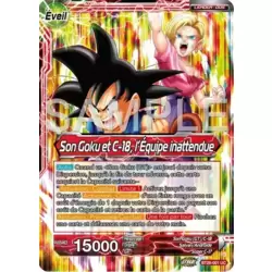 Son Goku // Son Goku et C-18, l'Équipe inattendue