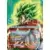 Broly // Broly SS, Explosion à Pleine Puissance (Special Leader Rare)