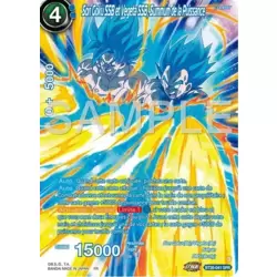 Son Goku SSB et Vegeta SSB, Summum de la Puissance