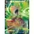 Broly SS, Destruction effrénée
