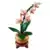LEGO Botanical Collection - Mini orchid