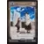 Attack On Titan-VF - Intelligence