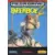 BRA - Brazilian Mega Drive Games - Paperboy 2