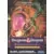 Dungeons & Dragons: Warriors of the Eternal Sun