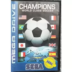 Champions World Class Soccer