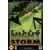 F-117 Night Storm