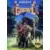 US - Jeux SEGA Genesis - Growl