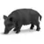 Wild Life - Laie