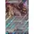 Cartes Promo Ecarlate et Violet - SVPfr - Bloodmoon Ursaluna EX