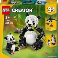 Wild Animals : Panda Family