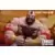Street Fighter 6 - Zangief
