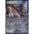 Cartes Pokemon Jumbo XXL - Ecarlate et Violet - Ursaking Lune Vermeille ex - Jumbo