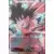 Son Goten, les minis rivaux (Foil)